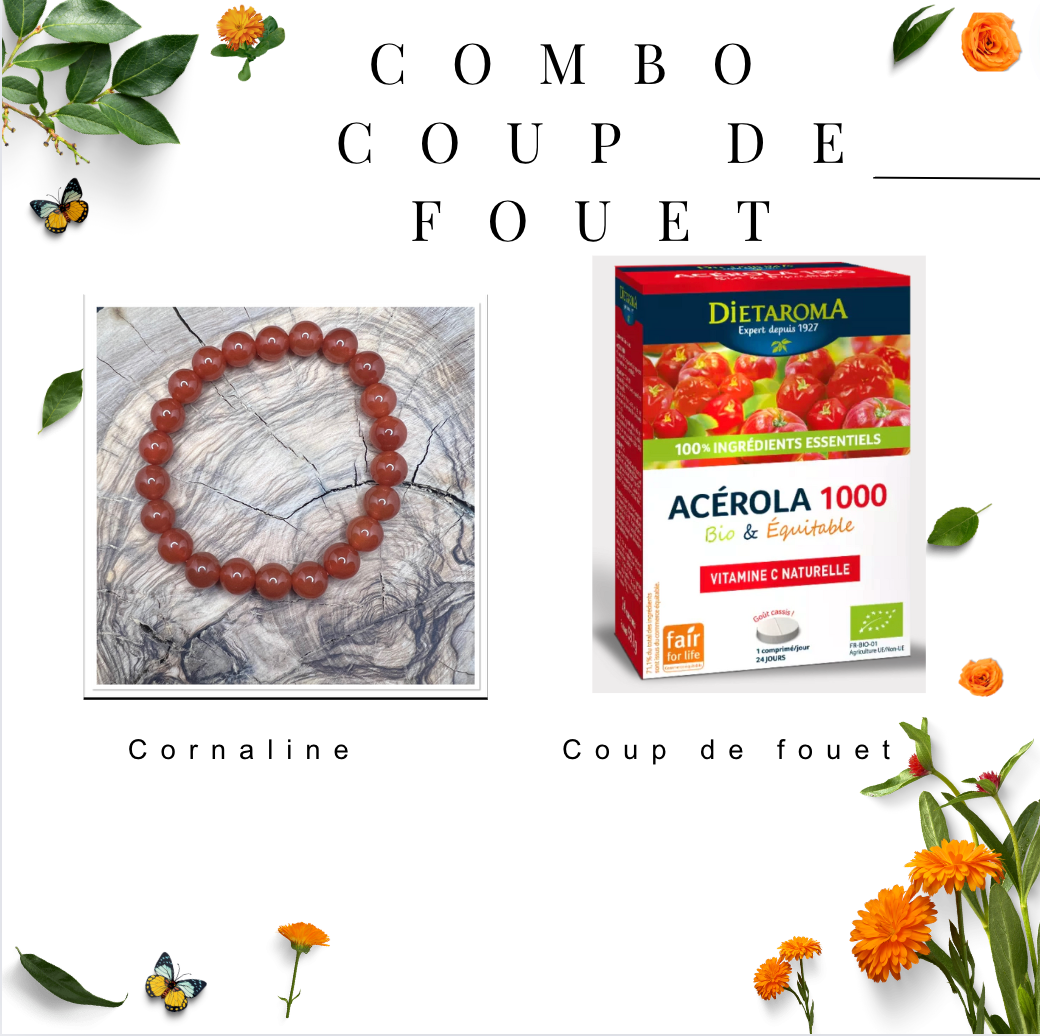 Combo coup de fouet : Cornaline 6 mm + Acérola