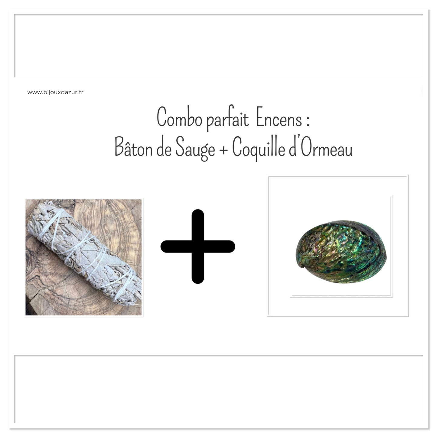 Combo Encens : Bâton de Sauge Blanche + Coquille d'Ormeau