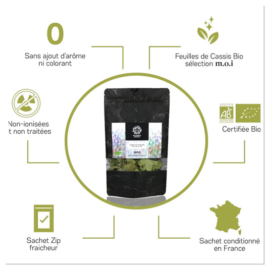 Infusion feuilles de Cassis - plante aux multiples vertus